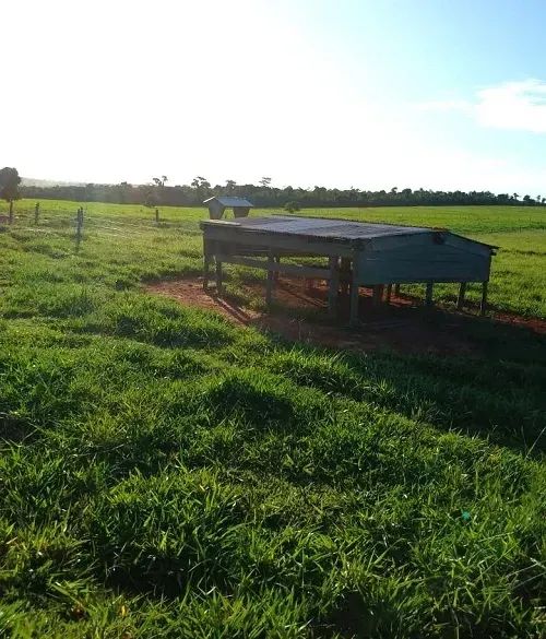 PECUÁRIA - Área Rural 52 Alqueires - Foto 5