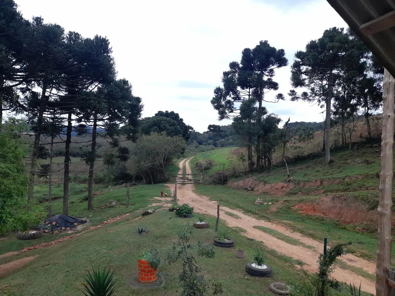 Chácara a venda - Foto 3