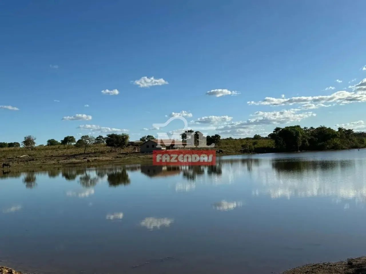 Fazenda 40 Alqueires (193,6 Hectares) Talismã-TO - Foto 4