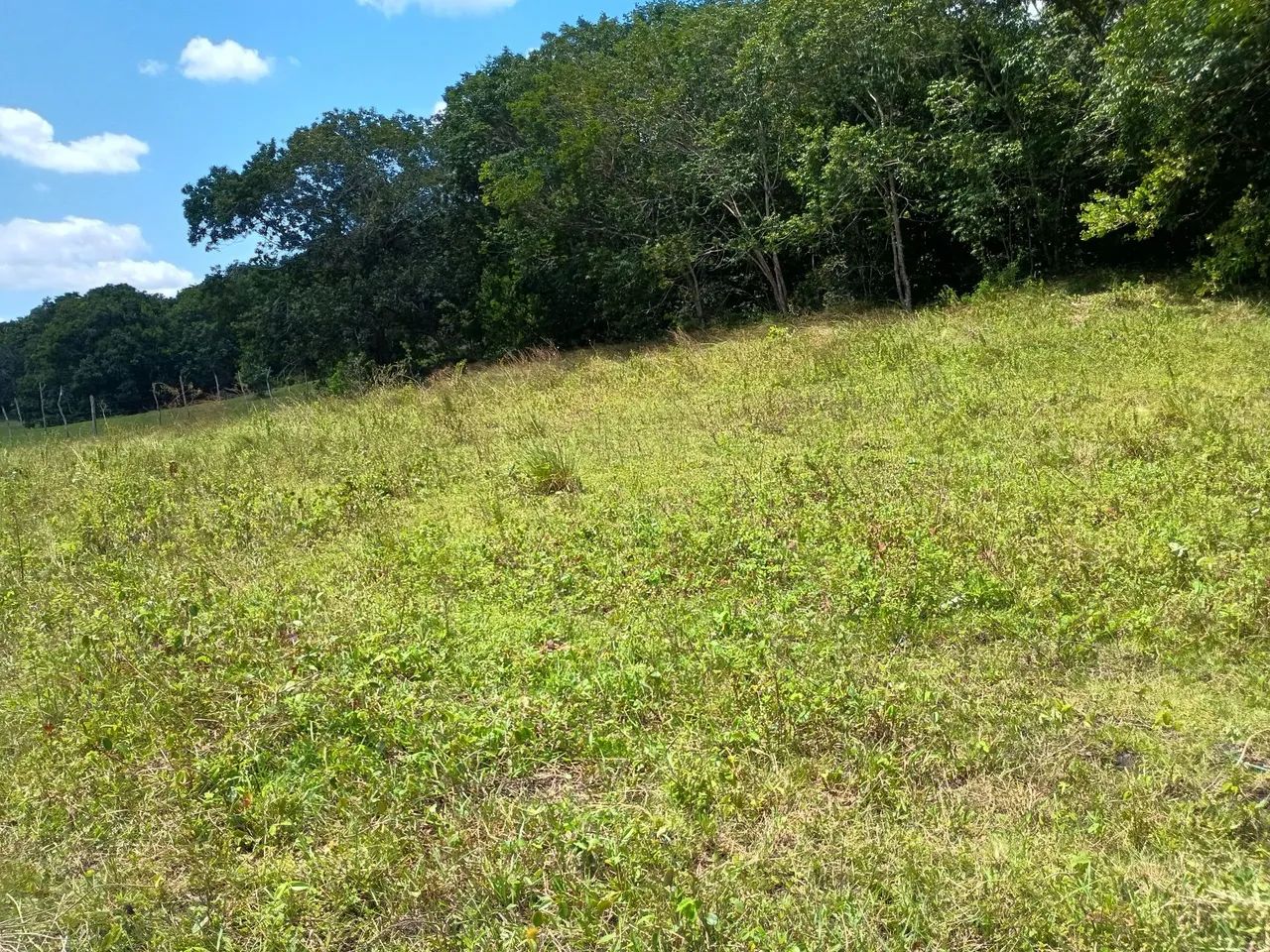 Sitio em rio tinto  - Foto 4