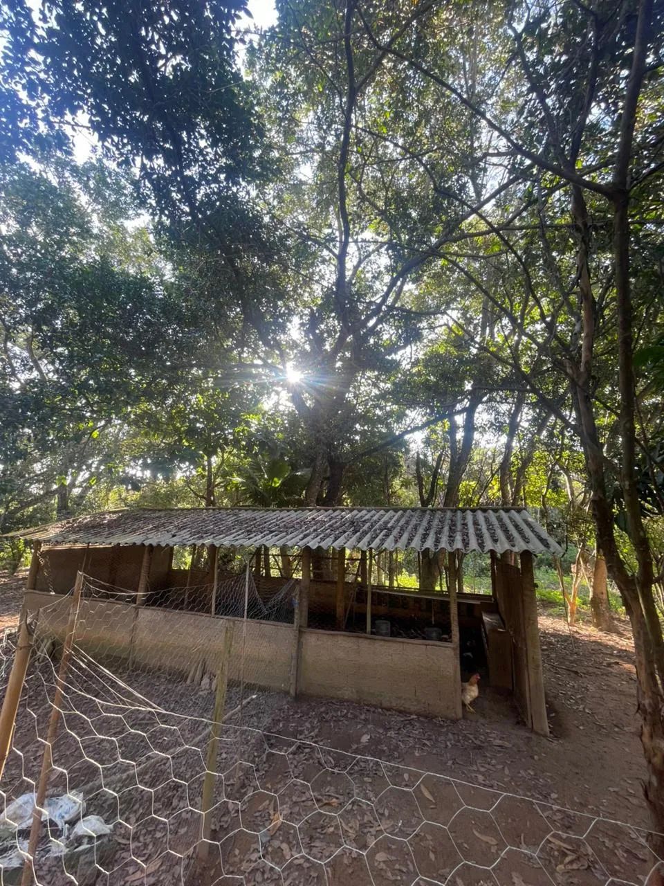 CHÁCARA EM BELA VISTA - Foto 3