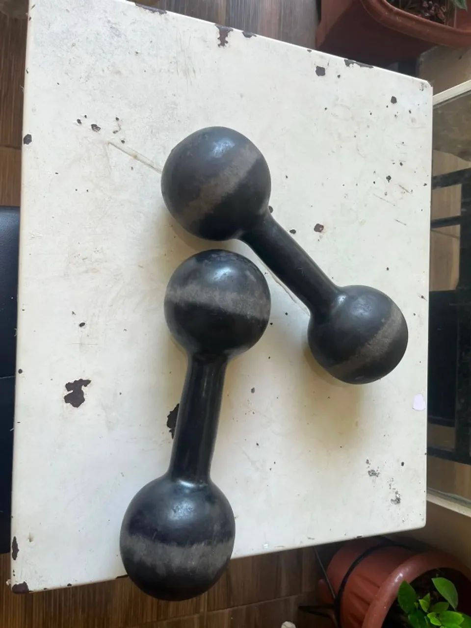 Pesos academia 10kg