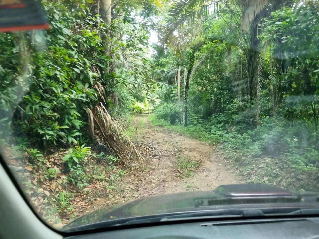 VENDO OU TROCO SíTIO , Mata redonda PB - Foto 3