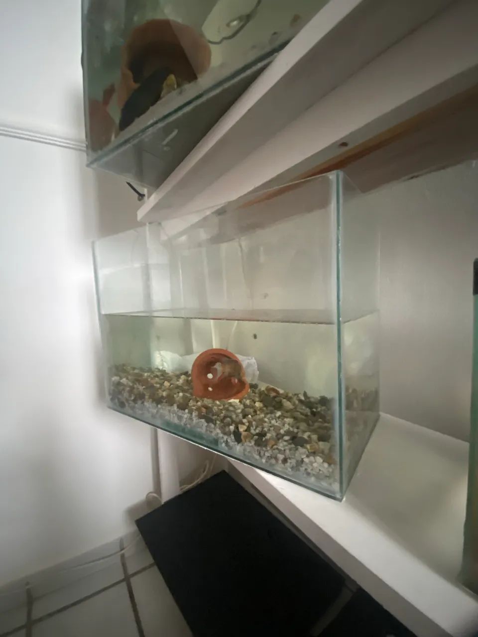 Aquário  - Foto 3