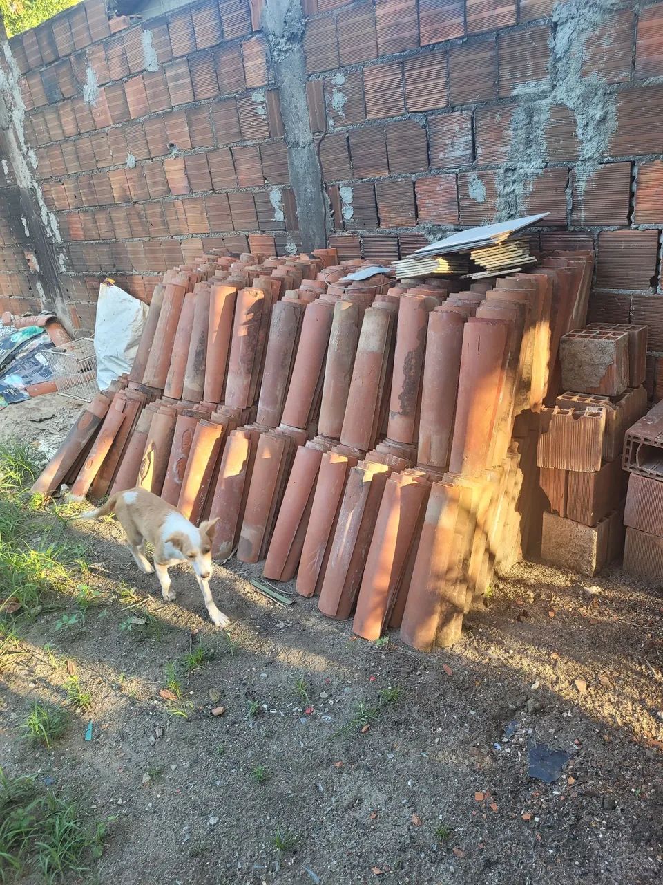 Telhas  - Foto 2