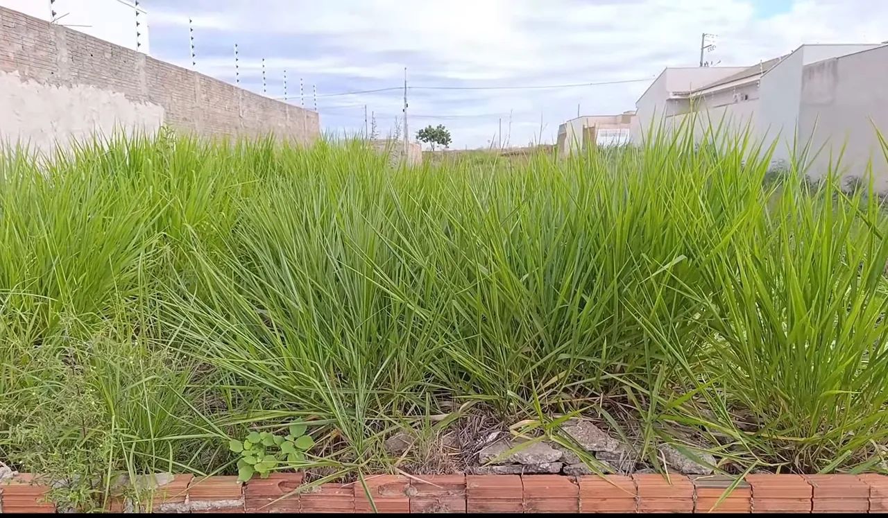 Jardineiro e roçador - Foto 5