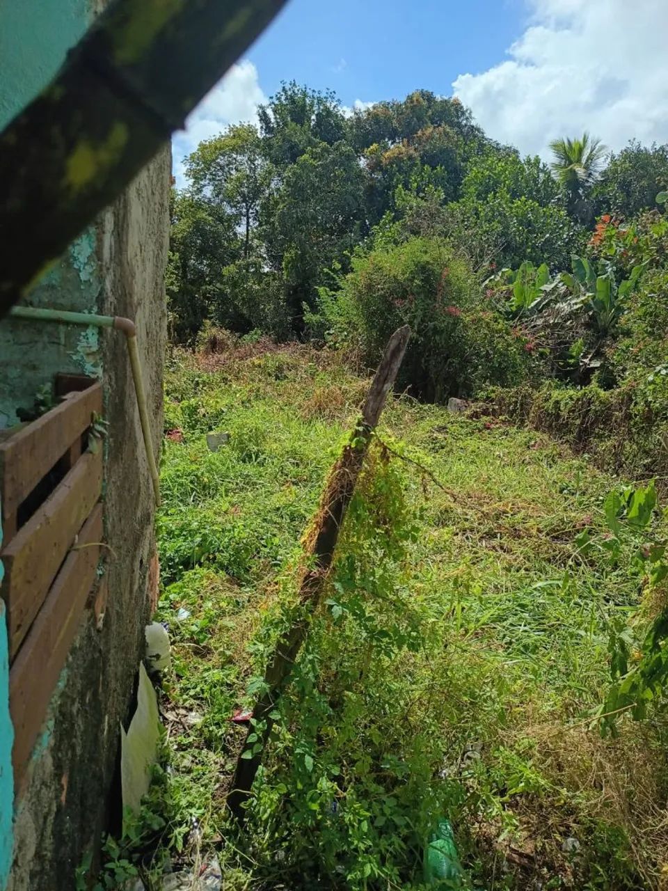 Terreno  em Amélia Rodrigues  - Foto 4