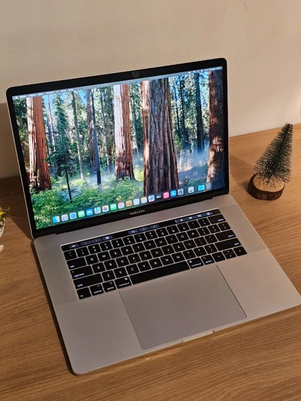 MacBook Pro 15 - Core i9 / 32GB RAM / 500GB SSD / AMD Radeon Pro