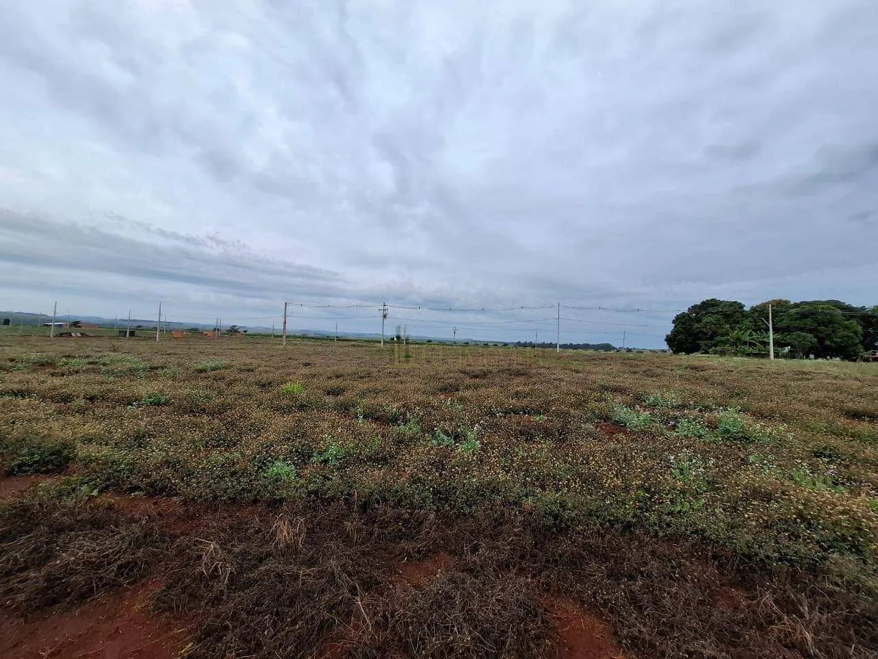 Chácara em Loteamento em Alvorada do Sul - Foto 4