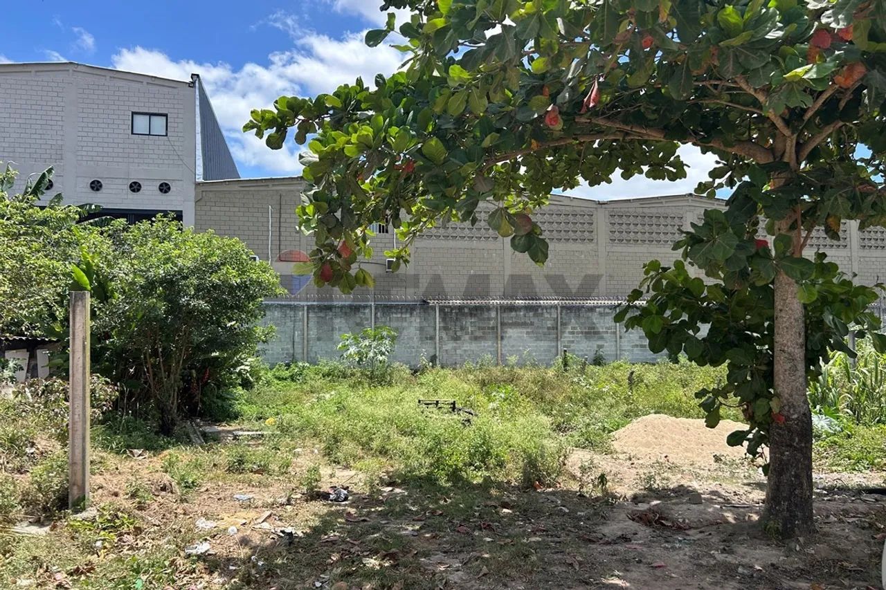 Terreno com 154 m2 , Na Cidade universitária - Foto 3
