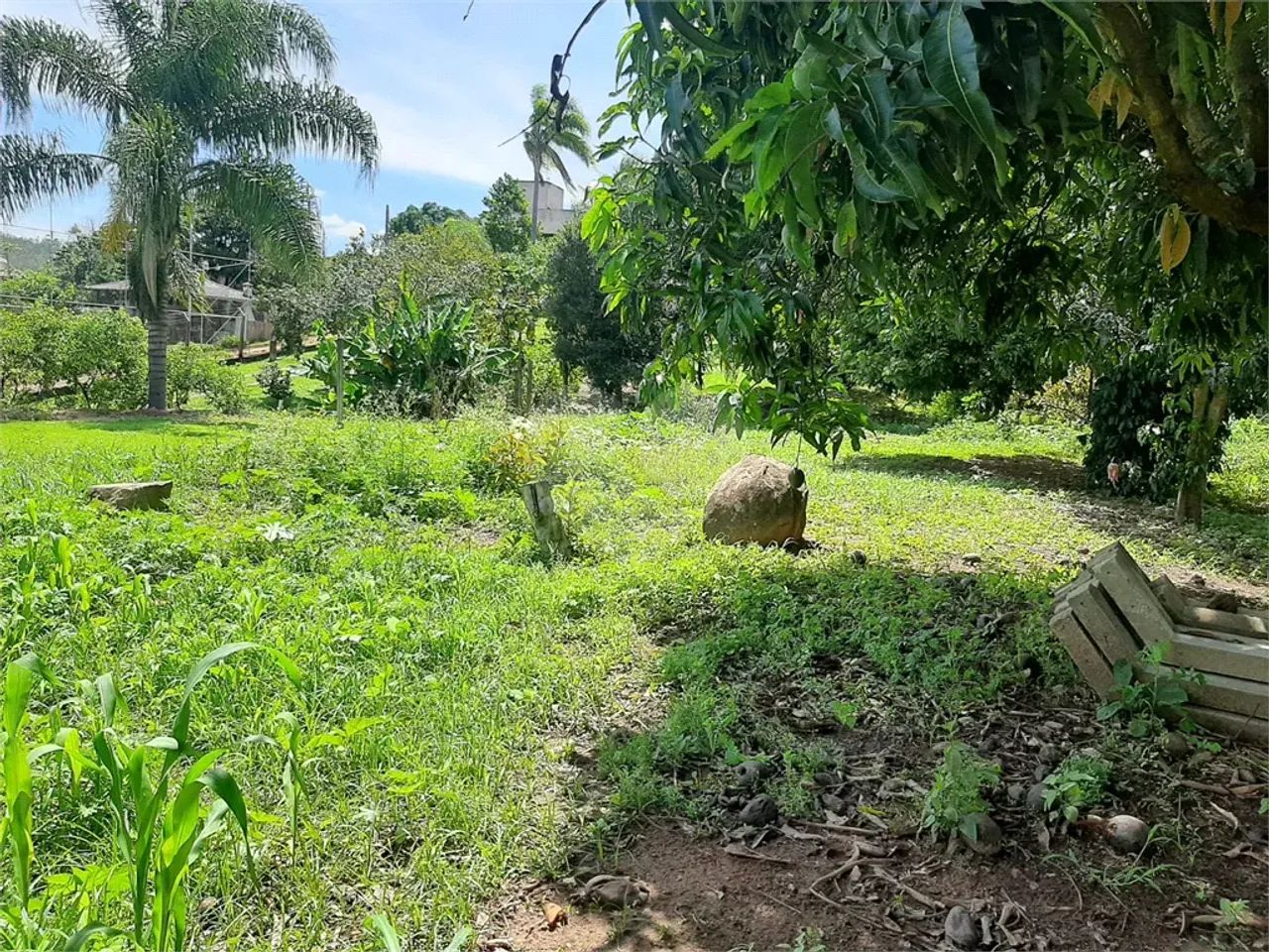 Terreno residencial à venda em Vinhedo/SP. - Foto 5