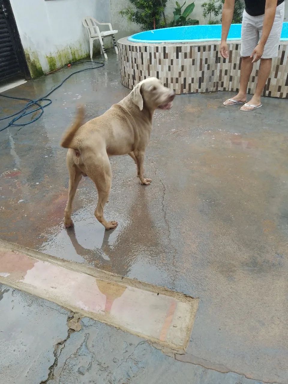 Lindos ?
