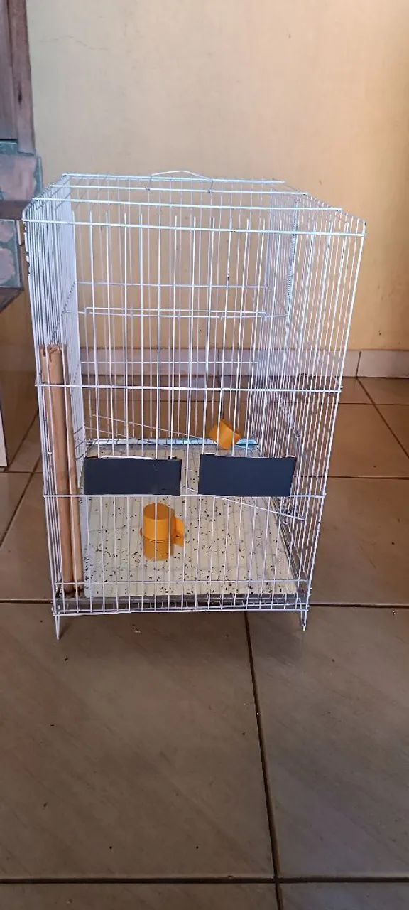 Gaiola calopsita  - Foto 4