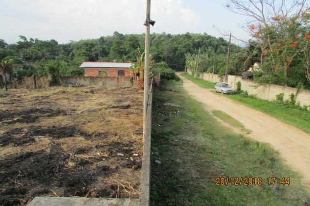Chácara plana e murada, 2 casas, condução a 150 metros, favor ler o texto!! - Foto 9