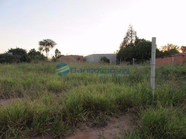 Terreno para alugar com 0 dormitórios em Parque aeroporto, Campinas cod:TE00212 - Foto 2