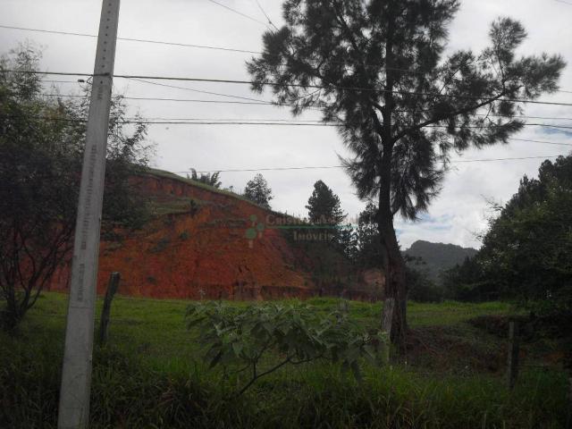 Área corporativa à venda, Vargem Grande, Teresópolis. - Foto 14