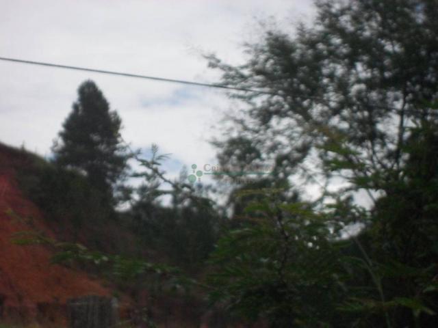Área corporativa à venda, Vargem Grande, Teresópolis. - Foto 7