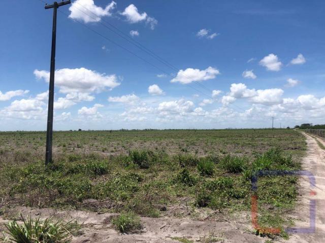 Fazenda com 3 dormitórios à venda, 530000 m² por R$ 1.400.000 - Centro - Curral de Cima/PB - Foto 8
