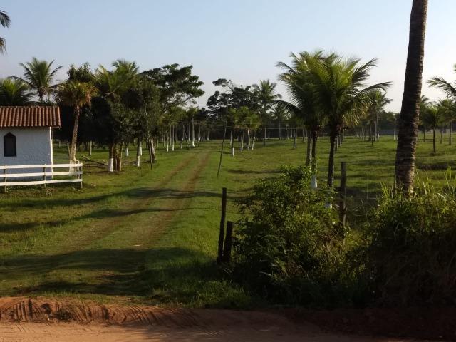 Lote em Unamar - Foto 2