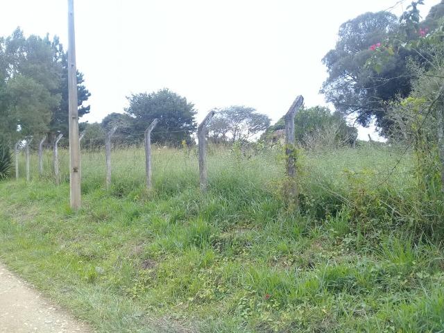 Terreno 15 min. de Piraquara/São Jose Só R$ 251.500,00 Ac. Troca 280 mil - Foto 4