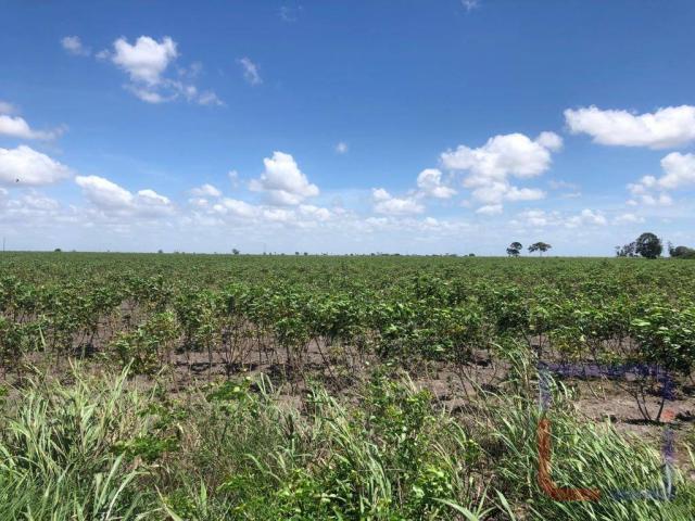 Fazenda com 3 dormitórios à venda, 530000 m² por R$ 1.400.000 - Centro - Curral de Cima/PB - Foto 2