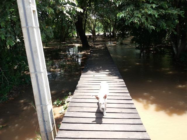 Pesqueiro no pantanal estudo troca - Foto 16