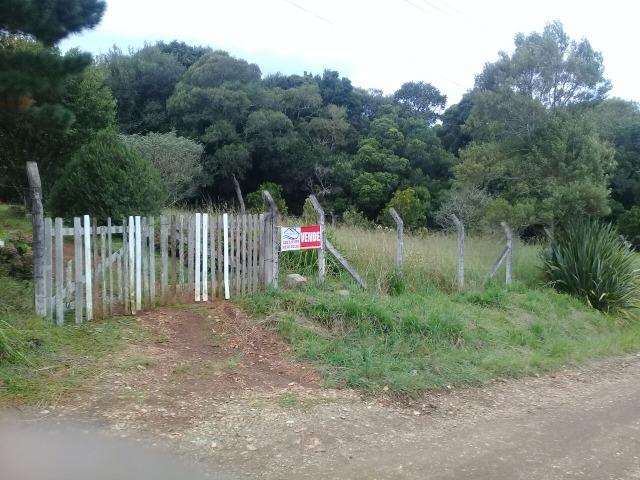 Terreno 15 min. de Piraquara/São Jose Só R$ 251.500,00 Ac. Troca 280 mil - Foto 2