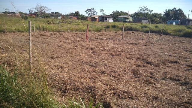 Terreno por 5.00,00 reais - Foto 5
