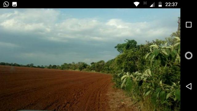Fazenda Arrendamento 165 Alq Parana - Foto 5