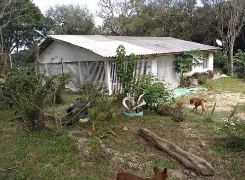 Vendo ou troco chácara em Quitandinha PR - Foto 5