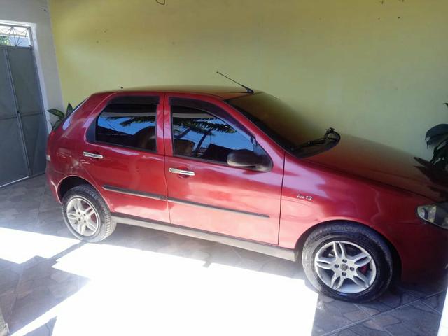 Palio pitibull - Foto 2