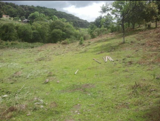 Chácara em Ana Rech - cód:267264 - Foto 5