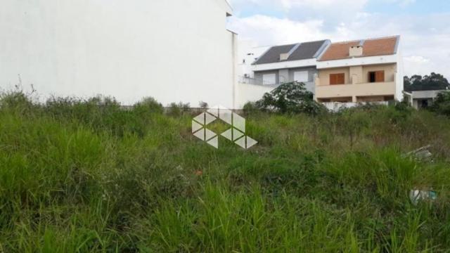 Terreno à venda em Guarujá, Porto alegre cod:TE1432 - Foto 9