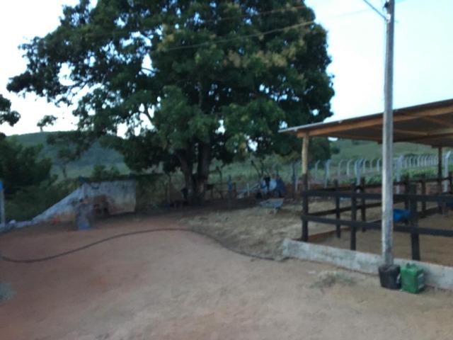 Terreno ou Rancho - Foto 6