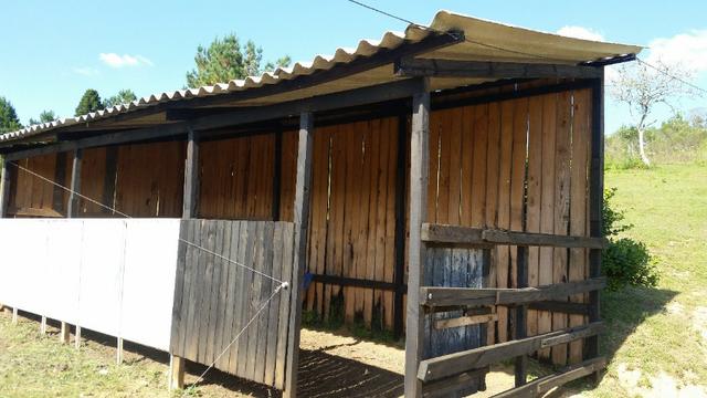 Linda Chácara Pague e Pesque, Bairro do Nogueiras - Areia Branca - Foto 18