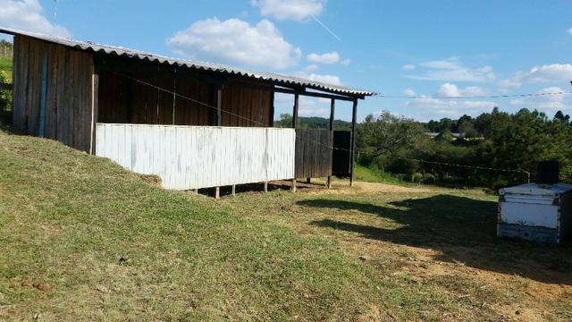 Linda Chácara Pague e Pesque, Bairro do Nogueiras - Areia Branca - Foto 4