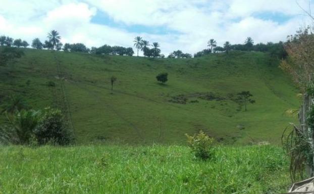 Propriedade em Joaquim Gomes - Foto 4