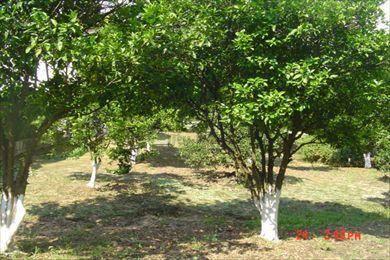 Terreno rural à venda. - Foto 7