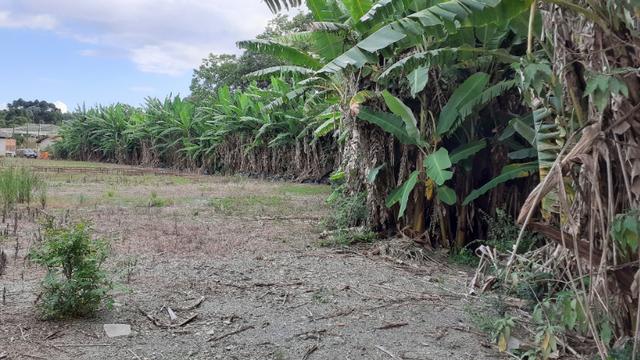 Terreno 2.400m2 - Vila Nova Prudentópólis - Foto 8