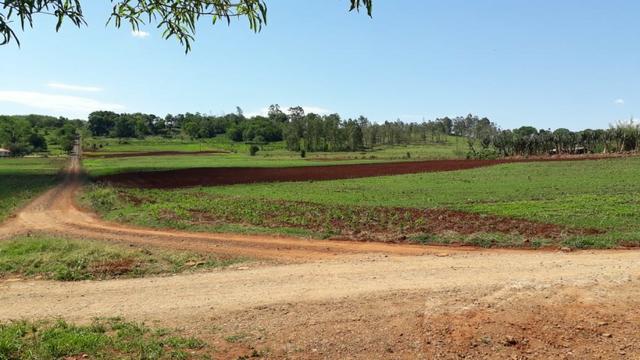 Chácaras em São Miguel do Iguaçu-Pr - Foto 11