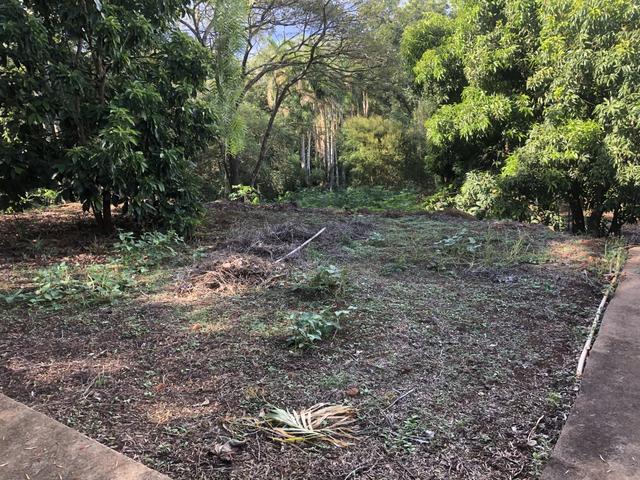Rancho cambara/pr - Foto 2