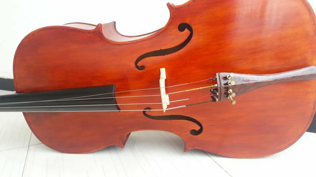Violoncello Armonizado em Luther valor 5.350,00 - Foto 6