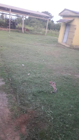 Chácara na vila Acre na AC 40 número 3315 podendo financiar - Foto 10