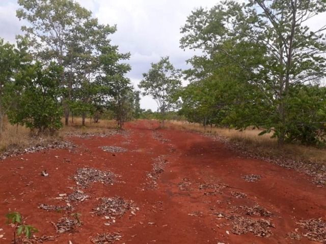 470 Alqs 70% Permuta Planta Todinha Barro Vermelho Ponte Alta TO - Foto 2
