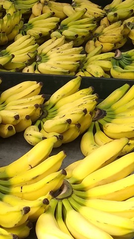 Compro e Vendo Banana Prata| Nanica E Outras Em Quantidade