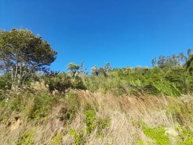 Sítio 3,7 hectares, Pastagem, Roça, 2ª Linha, Divisa de São Pedro com Águas Mornas SC - Foto 11