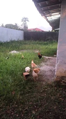 Terreno em candeias 450 m2, nascente, esquina, todo murado, com 73,5 m2 de área construída - Foto 6