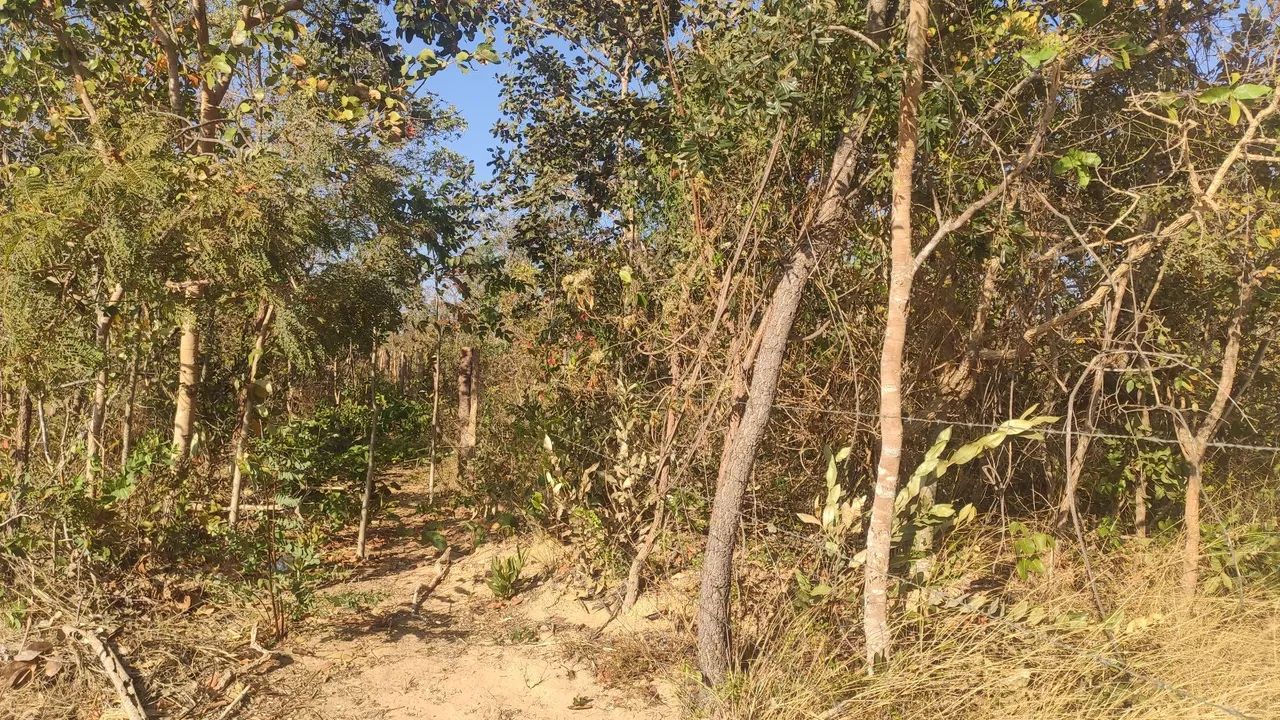 Vendo chácara sumidouro coração de Jesus MG - Foto 2