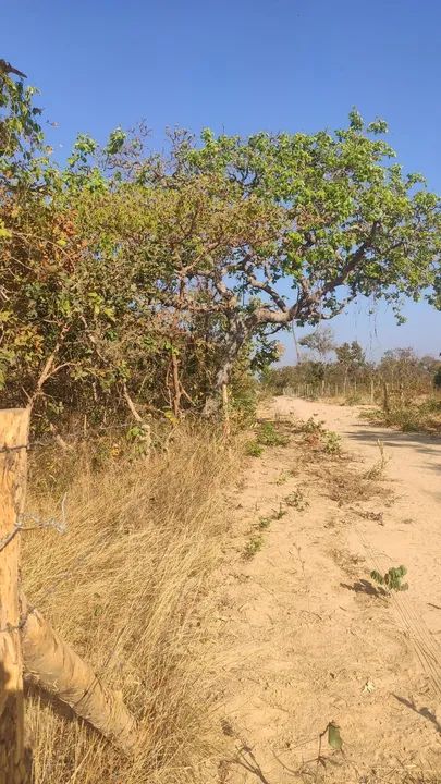Vendo chácara sumidouro coração de Jesus MG