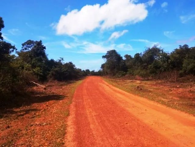Fazenda dupla aptidão em Piracuruca - 4800 Hectares - Foto 4